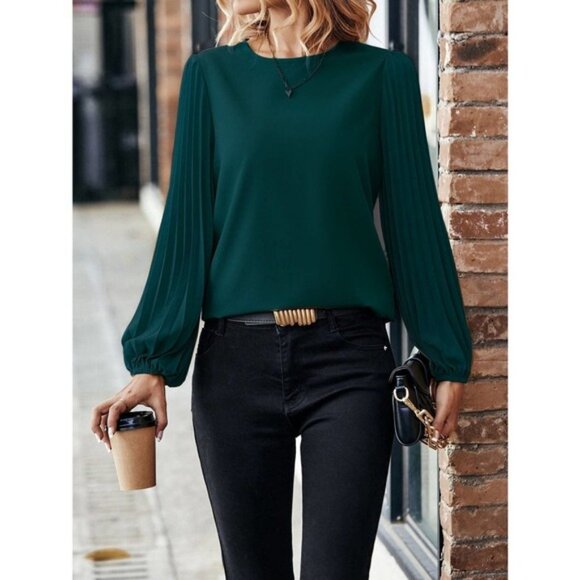 brown Long sleeve Pleated Lantern Sleeve Blouse - Picture 1 of 10
